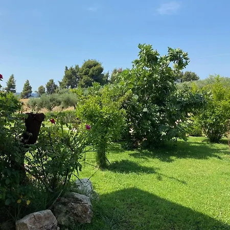 Holiday home Sunny Hill